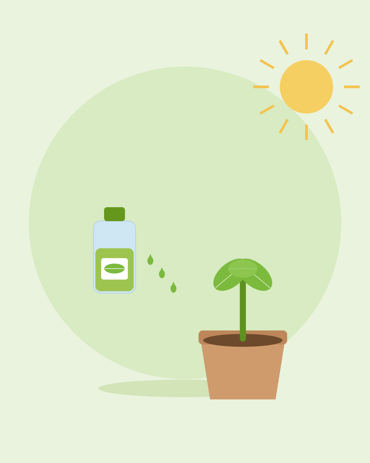 Flache Illustration einer Pflanzendünger-Flasche mit Tropfen neben einem eingetopften Sämling — Pflanzen düngen und ernähren, von SeedsChoice