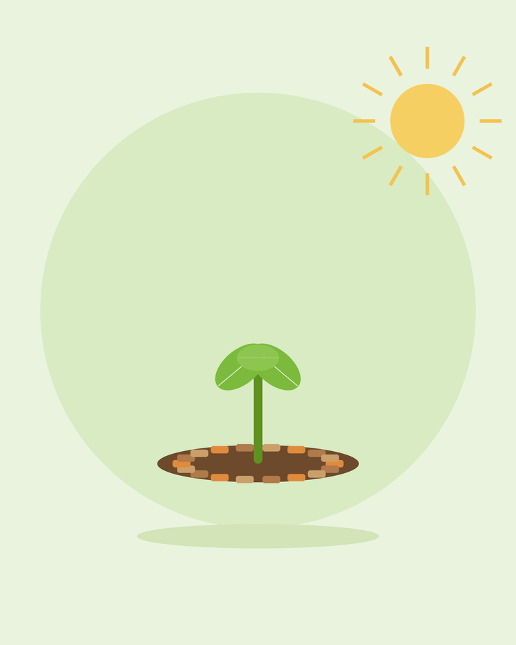 Flache Illustration eines Sämlings, umgeben von Mulchschnitzeln — Mulchen und Unkrautkontrolle, von SeedsChoice