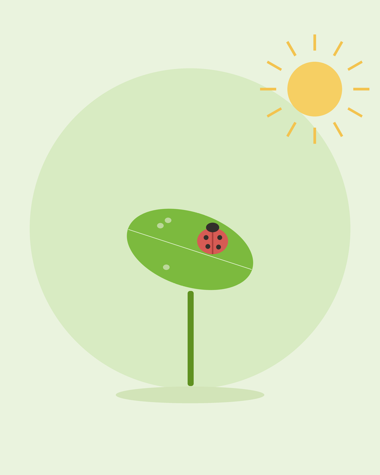 Flache Illustration eines Marienkäfers auf einem Blatt inmitten von Blattläusen — häufige Gartenschädlinge bekämpfen, von SeedsChoice