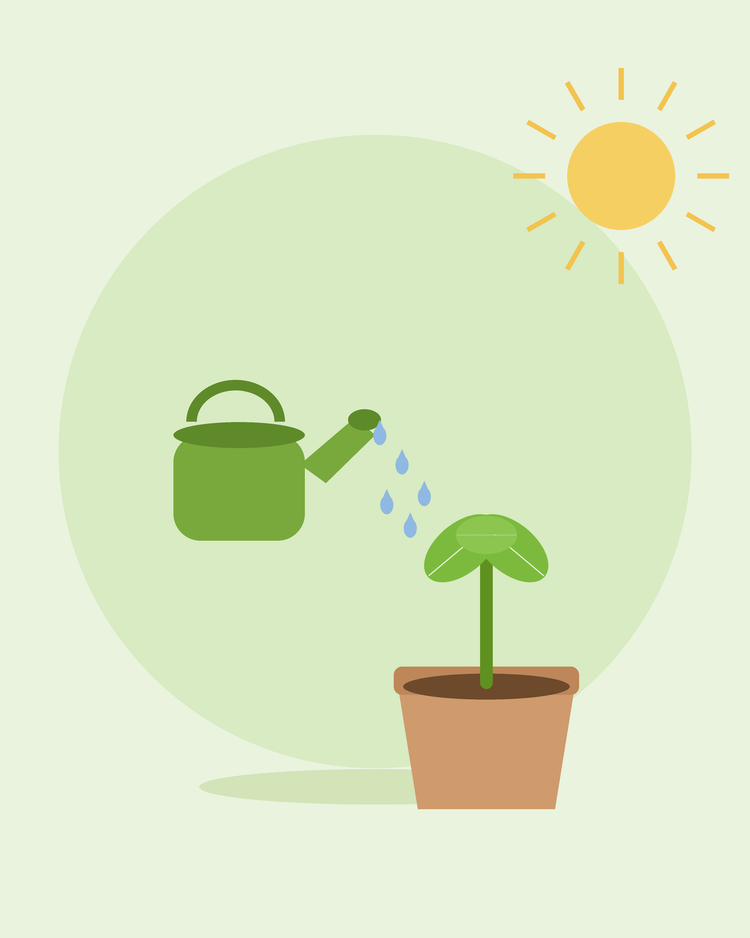 Flache Illustration einer grünen Gießkanne, die einen Sämling im Topf bewässert — Ihren Garten bewässern, von SeedsChoice