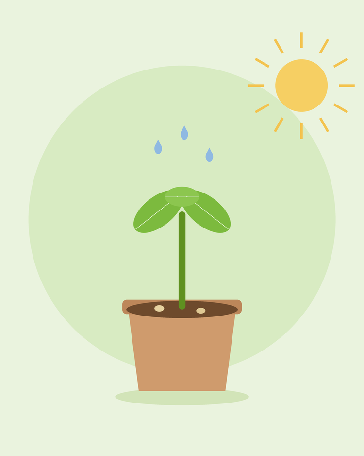 Flache Illustration eines jungen Sämlings, der in einem Blumentopf unter der Sonne mit Wassertropfen keimt — Samen keimen lassen, von SeedsChoice