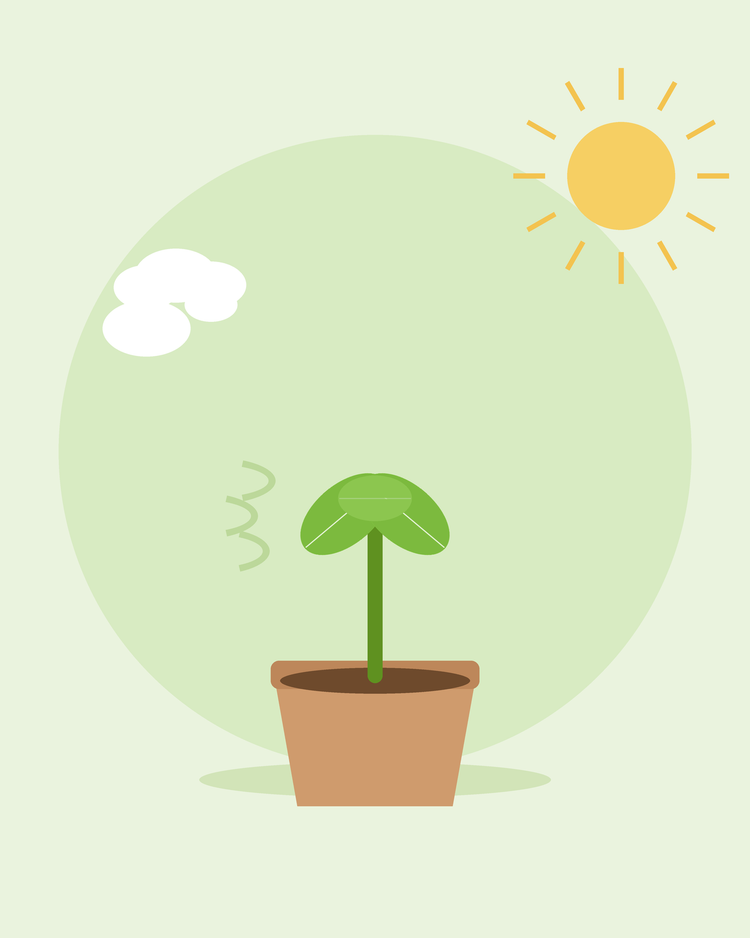 Flache Illustration eines eingetopften Sämlings im Freien bei Sonne und Wind — Abhärten von Sämlingen, von SeedsChoice