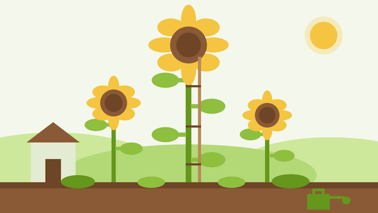 Riesensonnenblumen anbauen – flache Illustration einer hoch aufragenden, gestützten Sonnenblume neben kleineren Sonnenblumen und einem Geräteschuppen als Größenvergleich