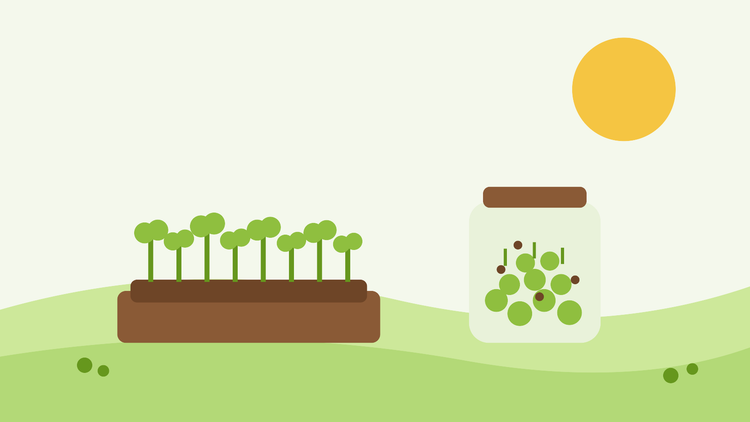 Wie man Microgreens und Sprossen anbaut — flache Illustration eines Tabletts mit Microgreens und einem Glas Sprossen auf einer Fensterbank