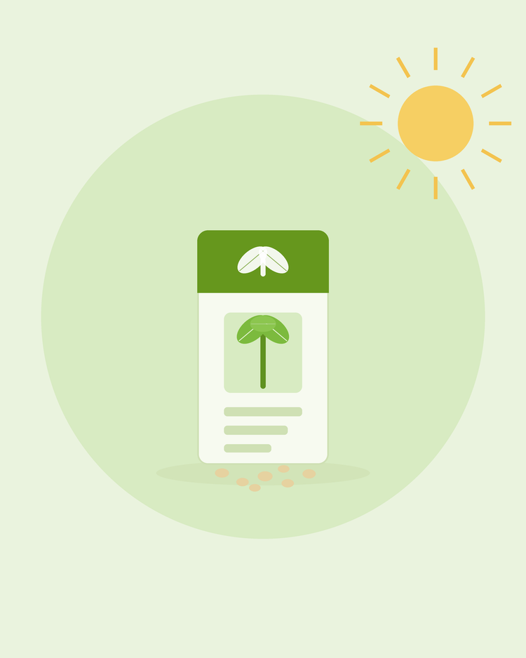Flache Illustration einer Samentüte mit Keimlingssymbol und auslaufenden Samen — Samentüten verstehen, von SeedsChoice