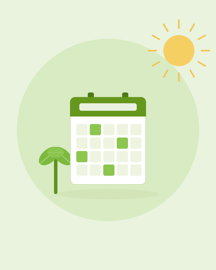 Flache Illustration eines Wandkalenders mit einem Keimling — Aussaatkalender Monat für Monat, von SeedsChoice