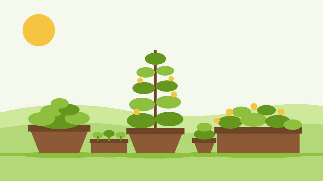 Container gardening from seed — flat illustration of terracotta pots, a window box and a seed tray of young seedlings on a sunny patio