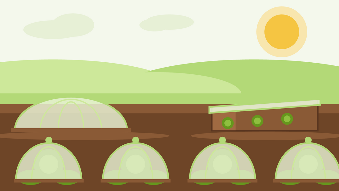 How to extend the growing season — flat illustration of cloches and a cold frame protecting plants in a garden bed