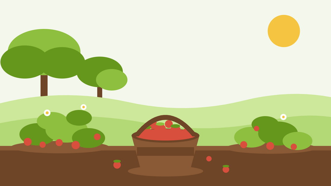 Harvesting alpine strawberries — flat illustration of low Fragaria vesca clumps hung with small red berries beside a basket of picked fruit