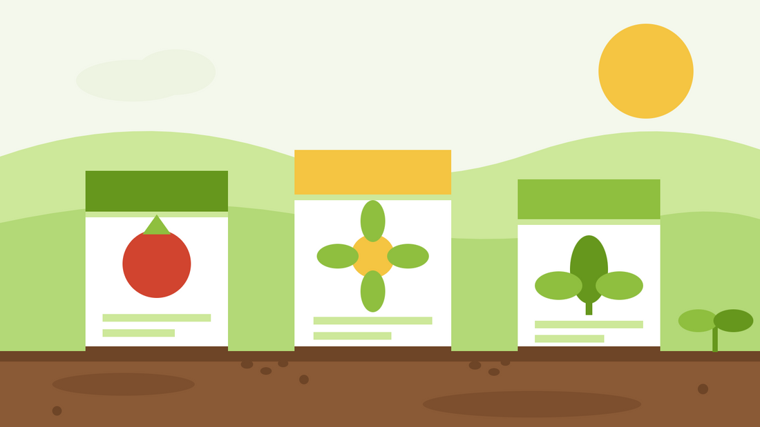 Heirloom vs F1 hybrid vs organic seeds — flat illustration of three seed packets side by side on soil with spilled seeds and a young seedling