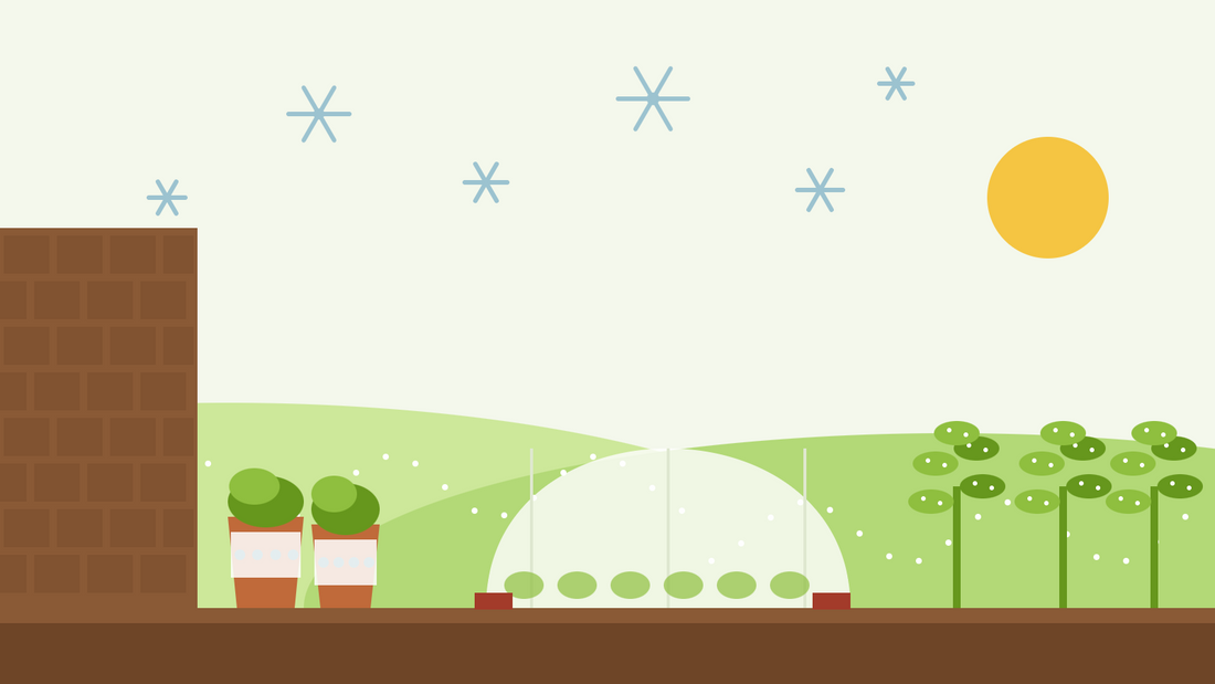 Pflanzen vor Frost schützen — flache Illustration eines Vliestunnels über einem Gemüsebeet, eingepackter Töpfe an einer Hauswand und bereiften Grünkohls unter Eiskristallen