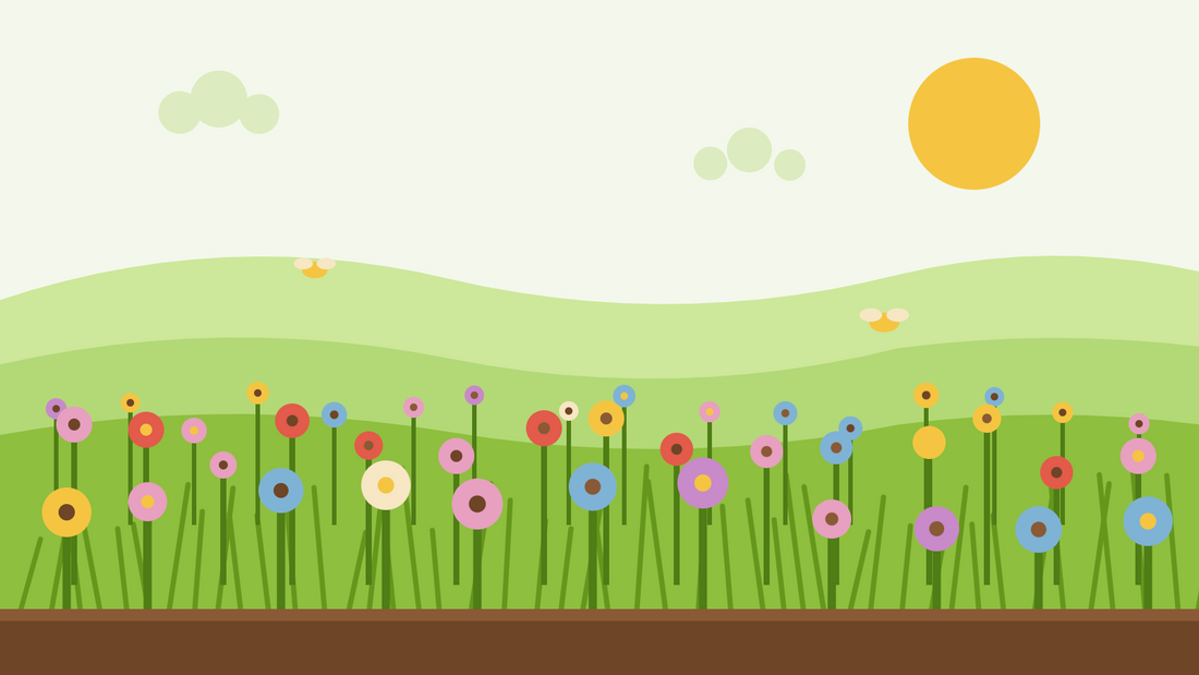 How to sow a wildflower meadow — flat illustration of a flowering meadow with grasses, poppies, daisies and butterflies