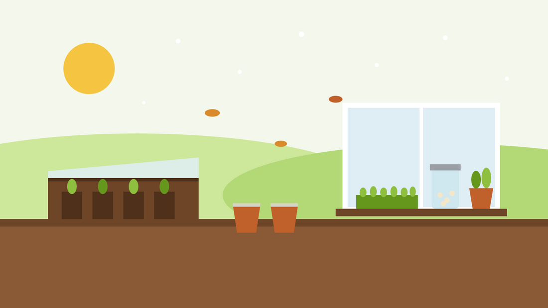 Was im November säen — flache Illustration von Sämlingen in einem Frühbeet, Staudentöpfen im Freien und einer Fensterbank mit Microgreens, einem Keimglas und Kräutern