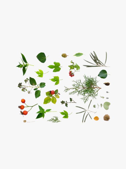 collection_image
