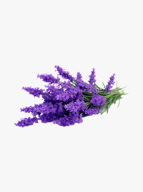 collection_image
