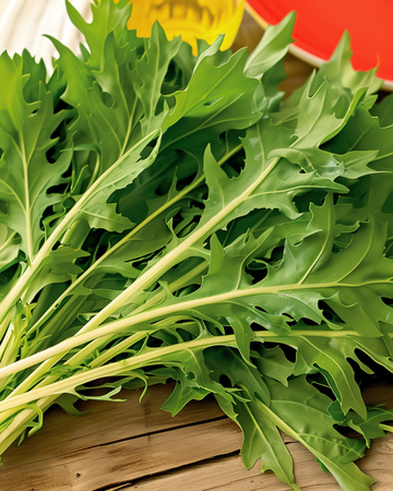 Mizuna seeds (Brassica rapa) – vegetable