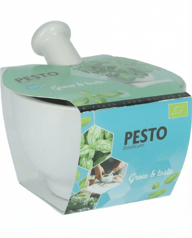 Basilikum Mortar Set Samen (Ocimum basilicum) – Bio-Küchenkraut