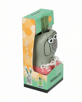 Italienisches Raygras Samen Lolium Multiflorum Grasset