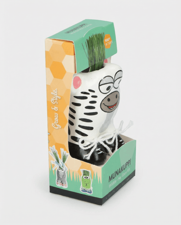 Grass Zebra Samen (Lolium multiflorum) – Anzuchtset