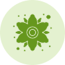 Aromatic