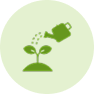 Hardiness / Growing Zone