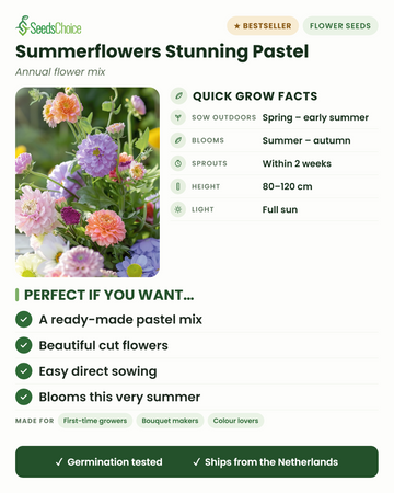 Sommerblumen Stunning Pastel mix – die wichtigsten Anbauinfos: Direktsaat im Frühling bis Frühsommer, Blüte von Sommer bis Herbst, Wuchshöhe 80–120 cm, volle Sonne — eine fertige Pastellmischung für Schnittblumen